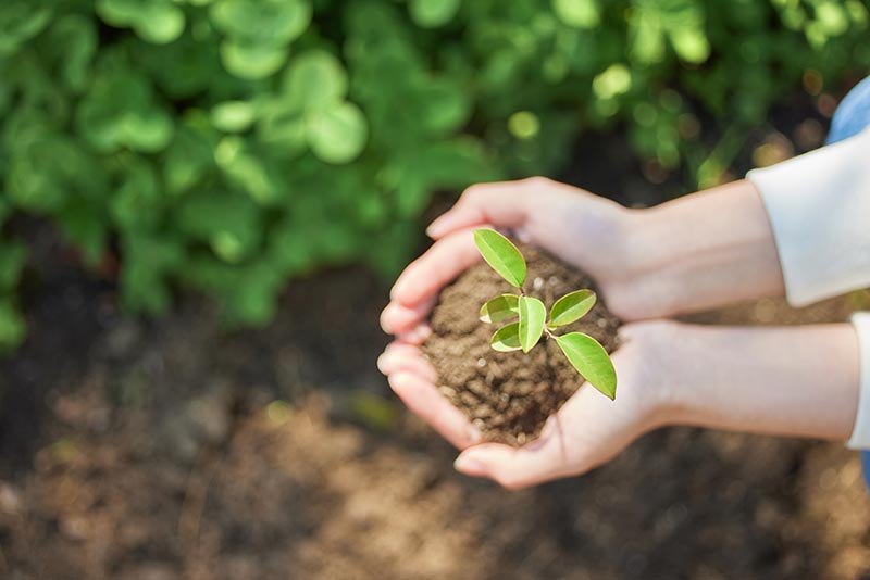 宝威体育官方(中国)集团官网